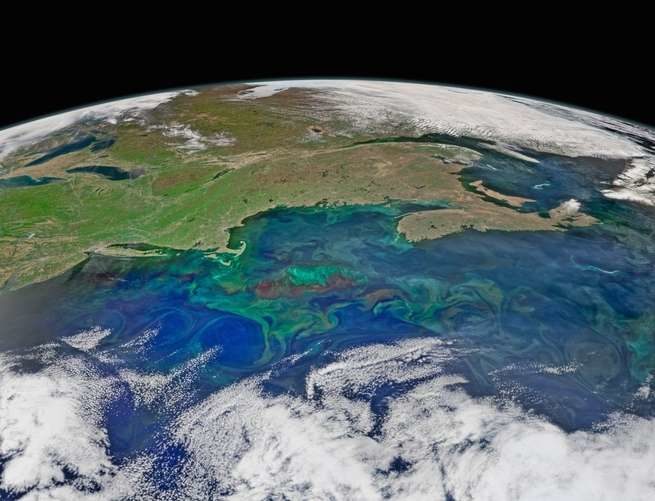 Click to enlarge Satellite image of a bloom in the North Atlantic.