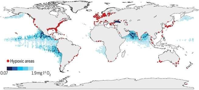 oxygen levels map ocean