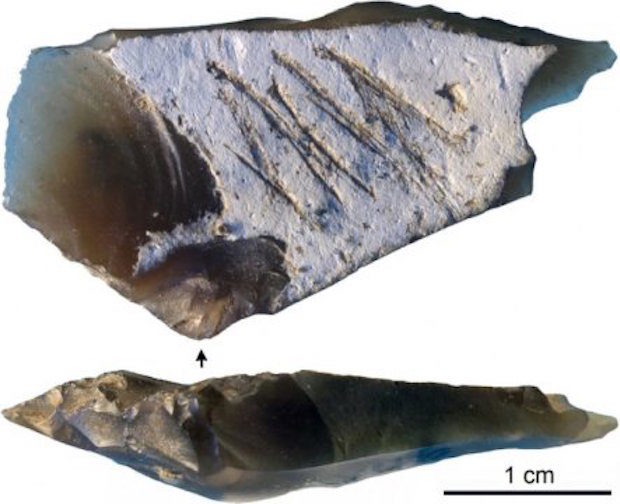 Crimea Neanderthal flint flake