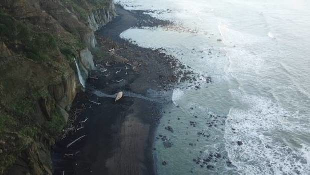 A young sperm whale was found washed up on a remote beach near Hāwera on Friday.
