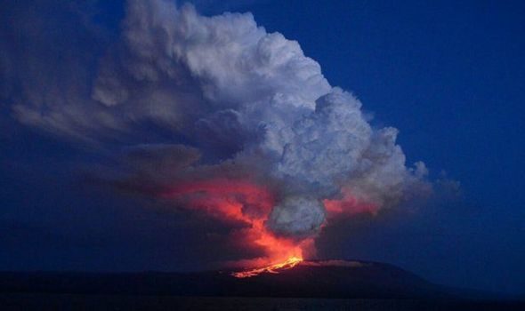 A volcano on the Galapagos Islands has started erupting