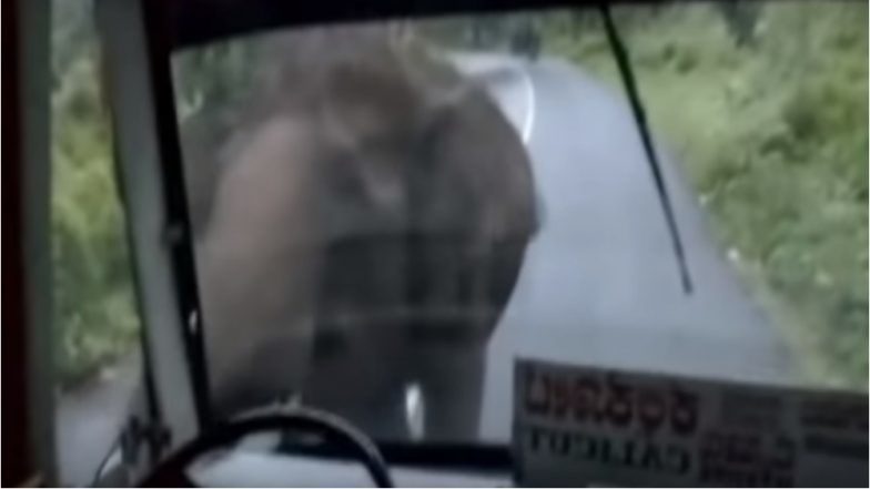Elephant attacks a bus in Calicut.
