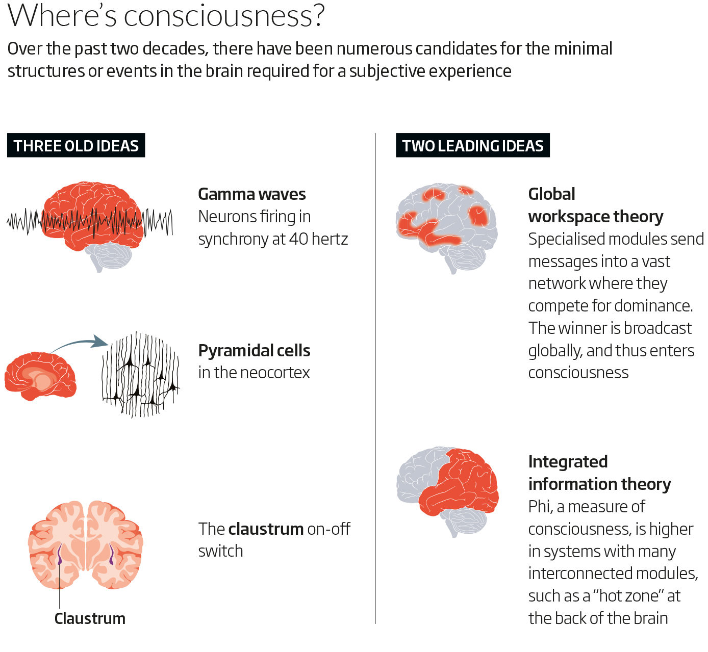 where's consciousness