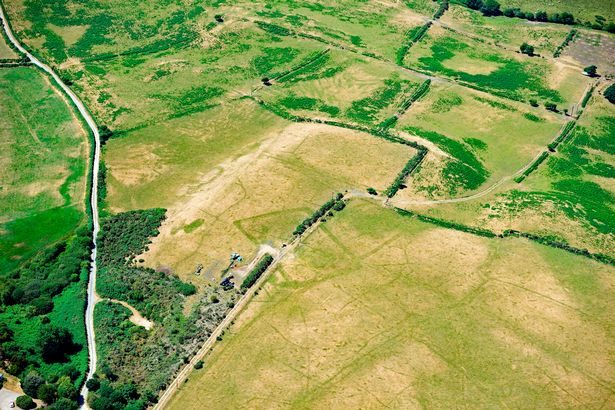 Extensive cropmarks of prehistoric enclosures in parched grassland on the Llyn Peninsula