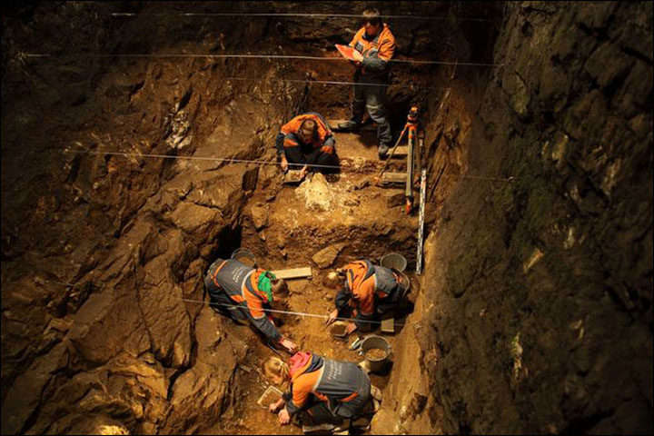 denisova cave archeologists