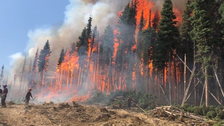 More of B.C. has burned in wildfires in 2018 than any year on record.