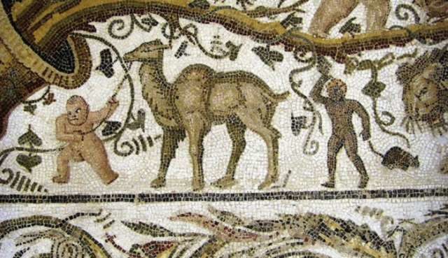 camel mosaic