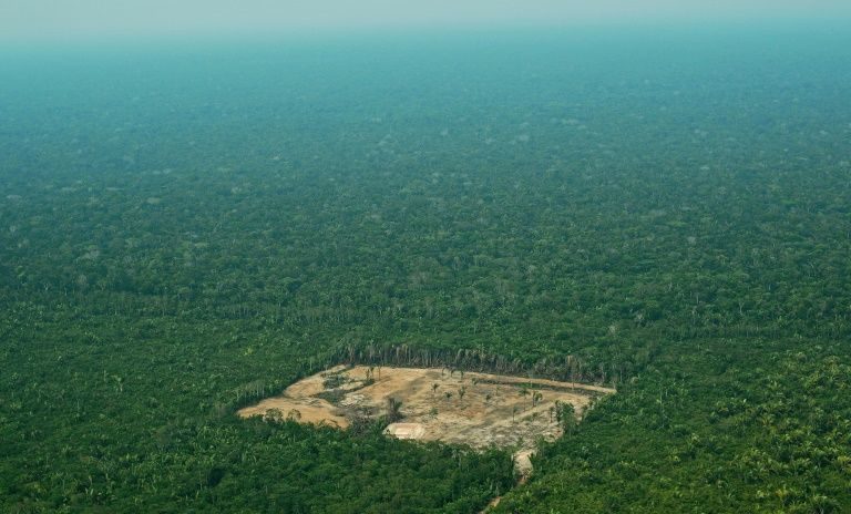 Amazon Deforested