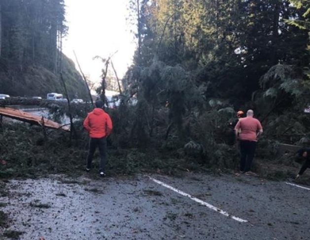 Click to enlarge BC windstorm