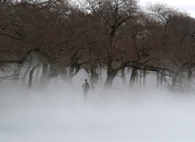 Fog rises on the tidal basin in Washington, D.C.