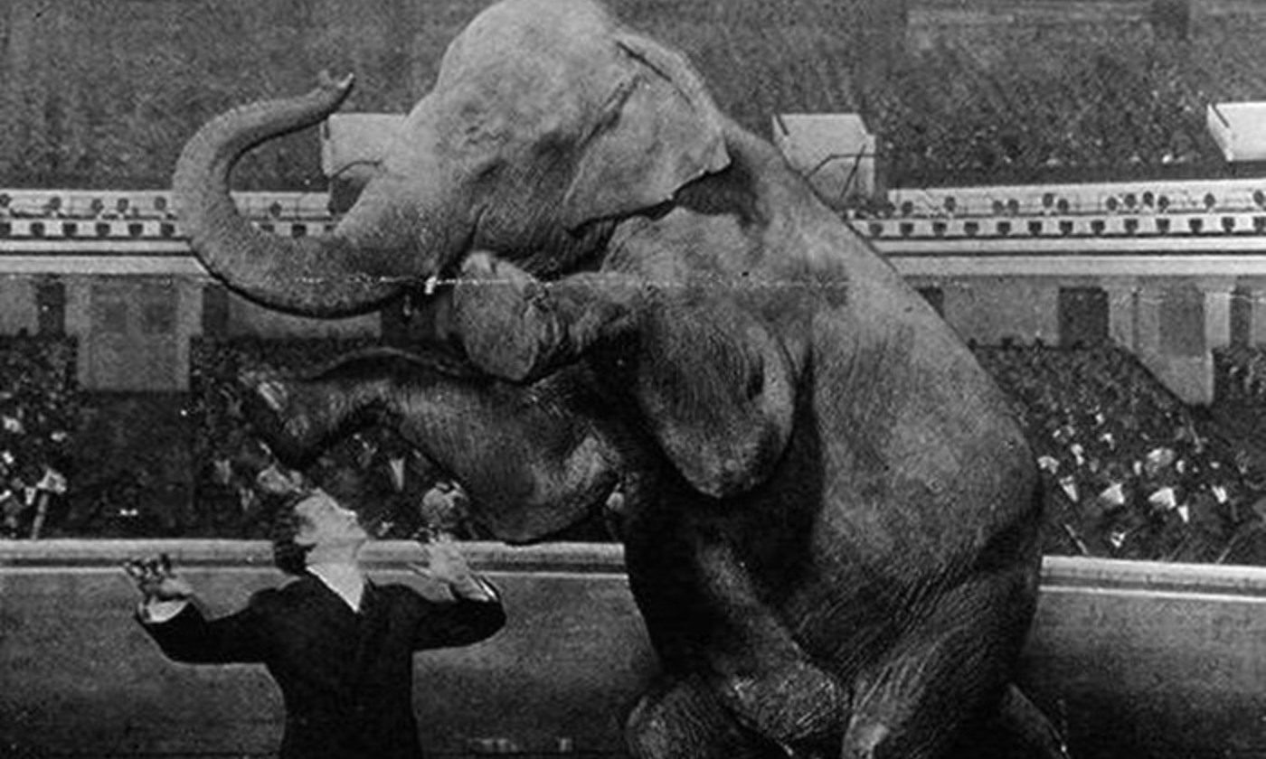 Click to enlarge Harry Houdini
