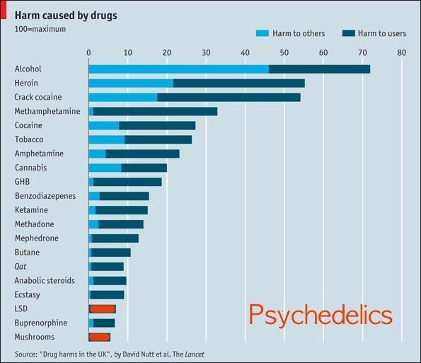 harm caused by psychedelics