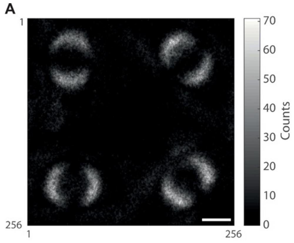 Click to enlarge quantum entanglement photograph