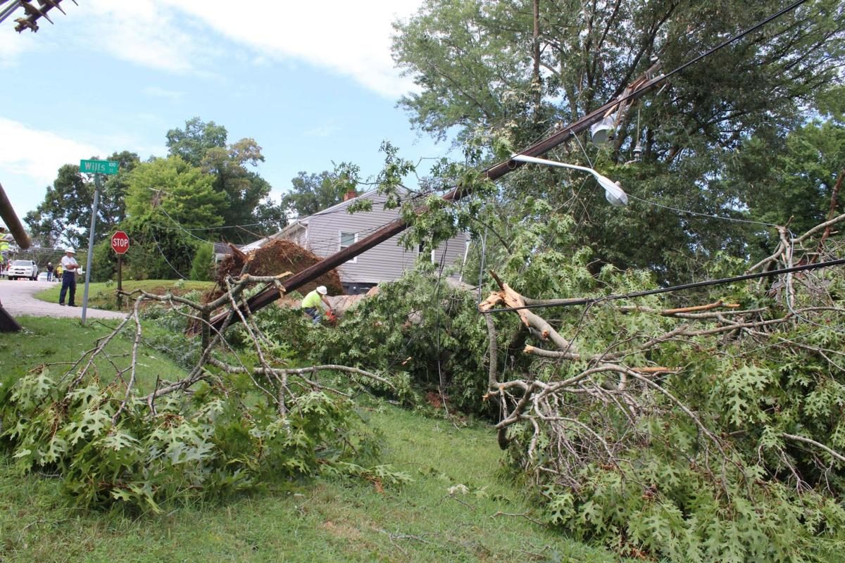 Fallen trees in Danville VA