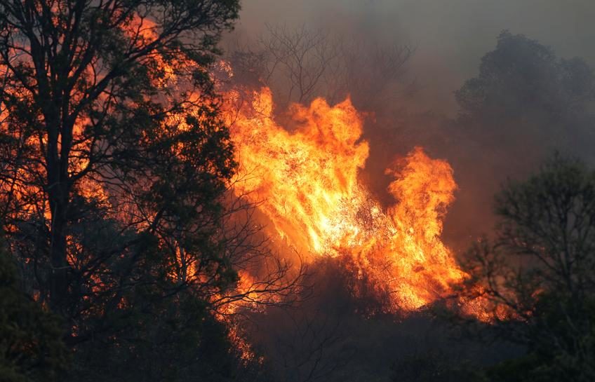 A bushfire rages near the rural town of Canungra in the Scenic Rim region of South East Queensland, Australia, September 6, 2019.