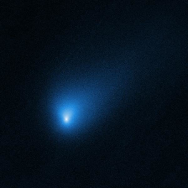 Interstellar object Comet 2I/Borisov