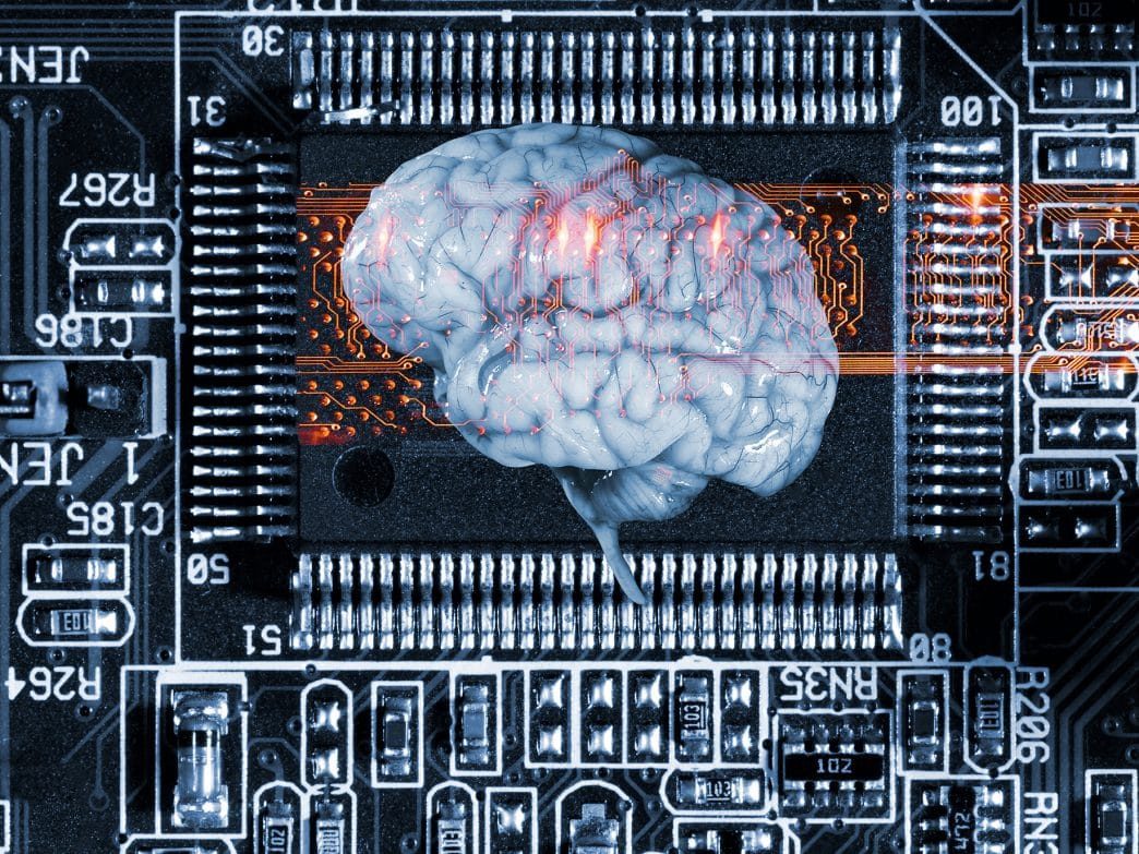 brain circuit board