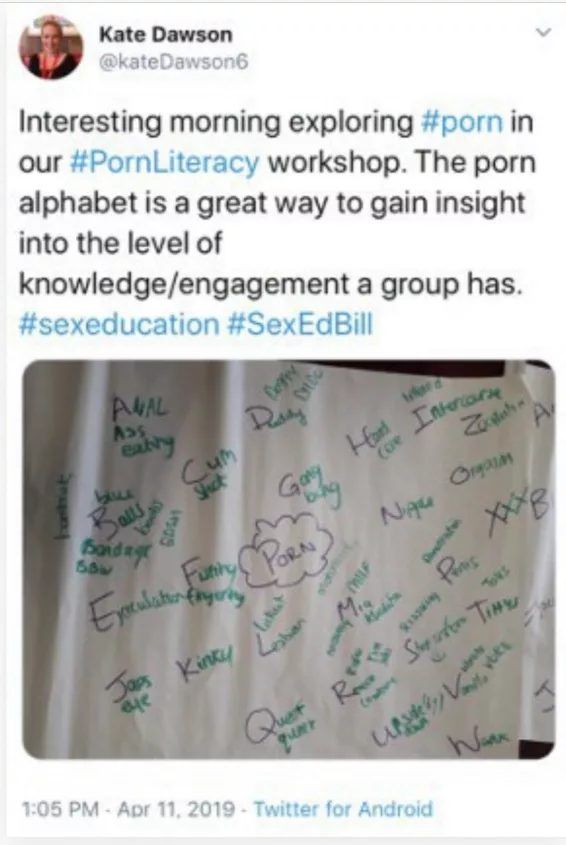 ireland sex education pornography