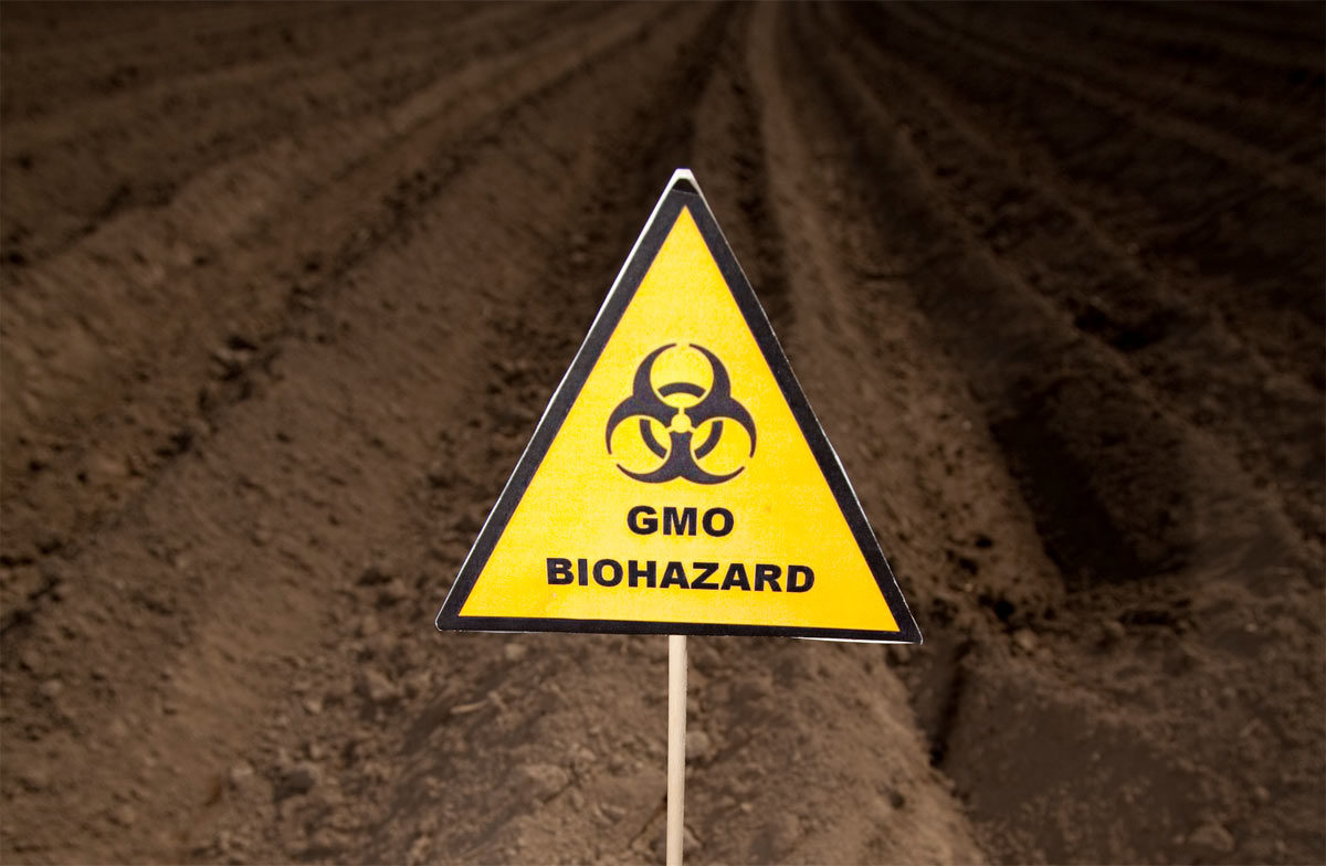 GMO biohazard