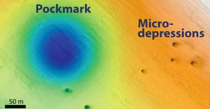 Pockmark/Microdepressions