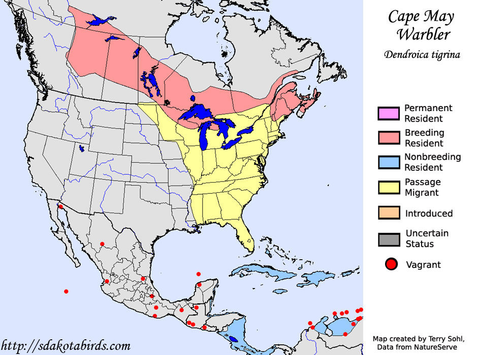 Cape May Warbler - Species Range Map