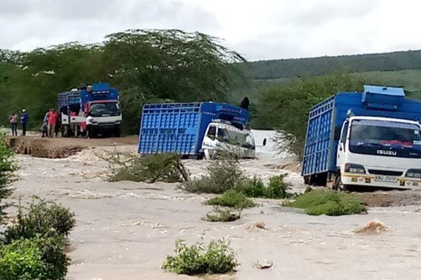 Vehicles are marooned by floodwaters along Ewaso Ngiro-Naroo Sura Road in Narok South Sub-county following heavy rains on January 30, 2020