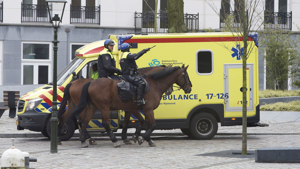 mounted police belgium the hague
