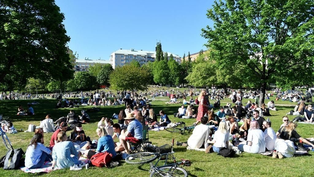 Sweden picnics