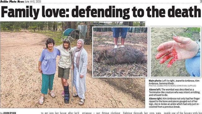 The story of the wombat’s reign of terror appeared in Dubbo Photo News newspaper.