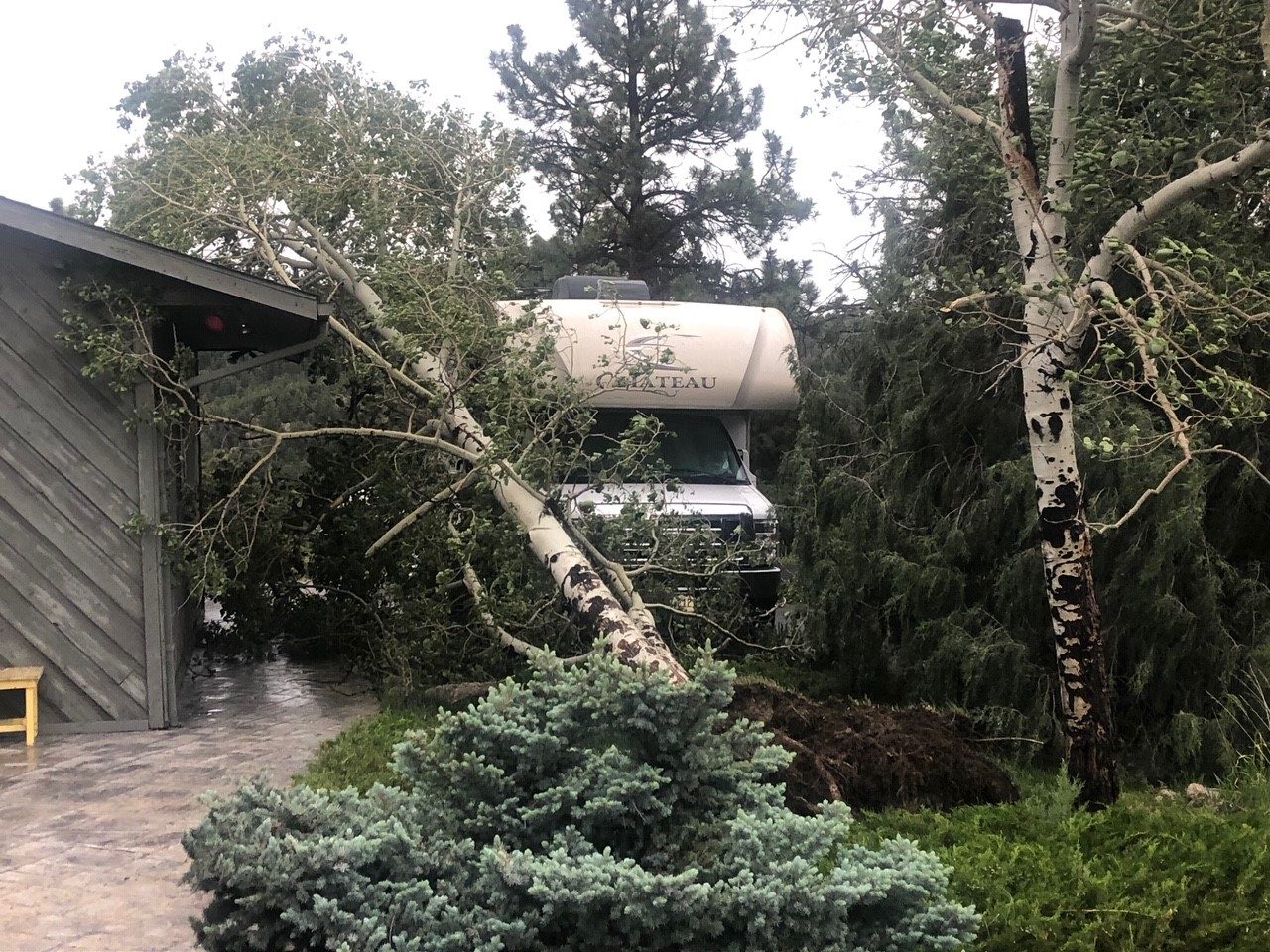 Tree damage in Evergreen from Saturday’s derecho