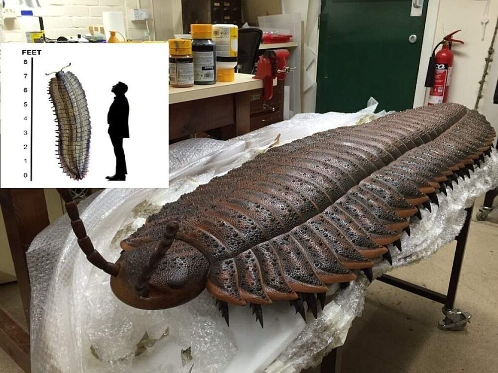giant millipede extinct