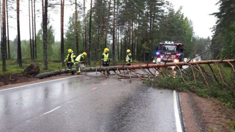 Rescue unit works to clear a fallen tree over a road in Miehikkälä, southeastern Finland