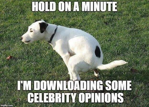 celebrity opinions
