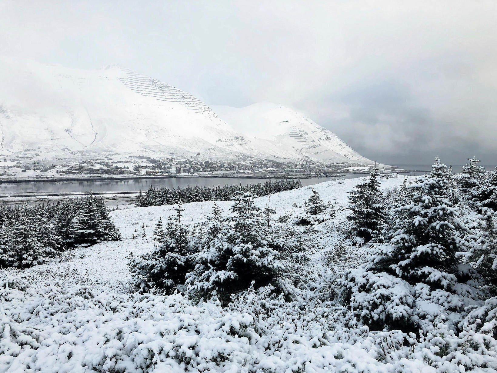 Siglufjörður, dressed in white this morning.