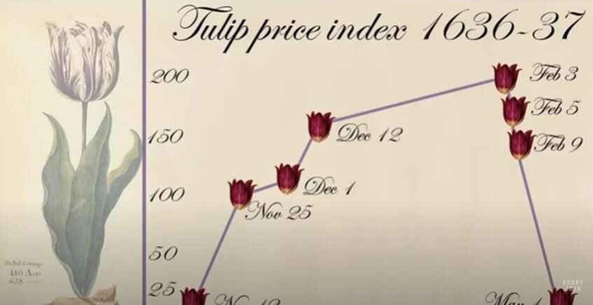 Tulip craze graph
