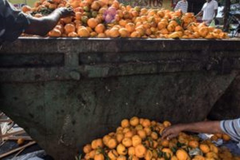 Residents pick tangerines out of a waste bucket