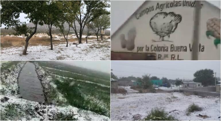 Inhabitants of the municipalities of Janos and Ascensión , in the northwest of the state of Chihuahua , shared images of the snowfall this morning on October 27