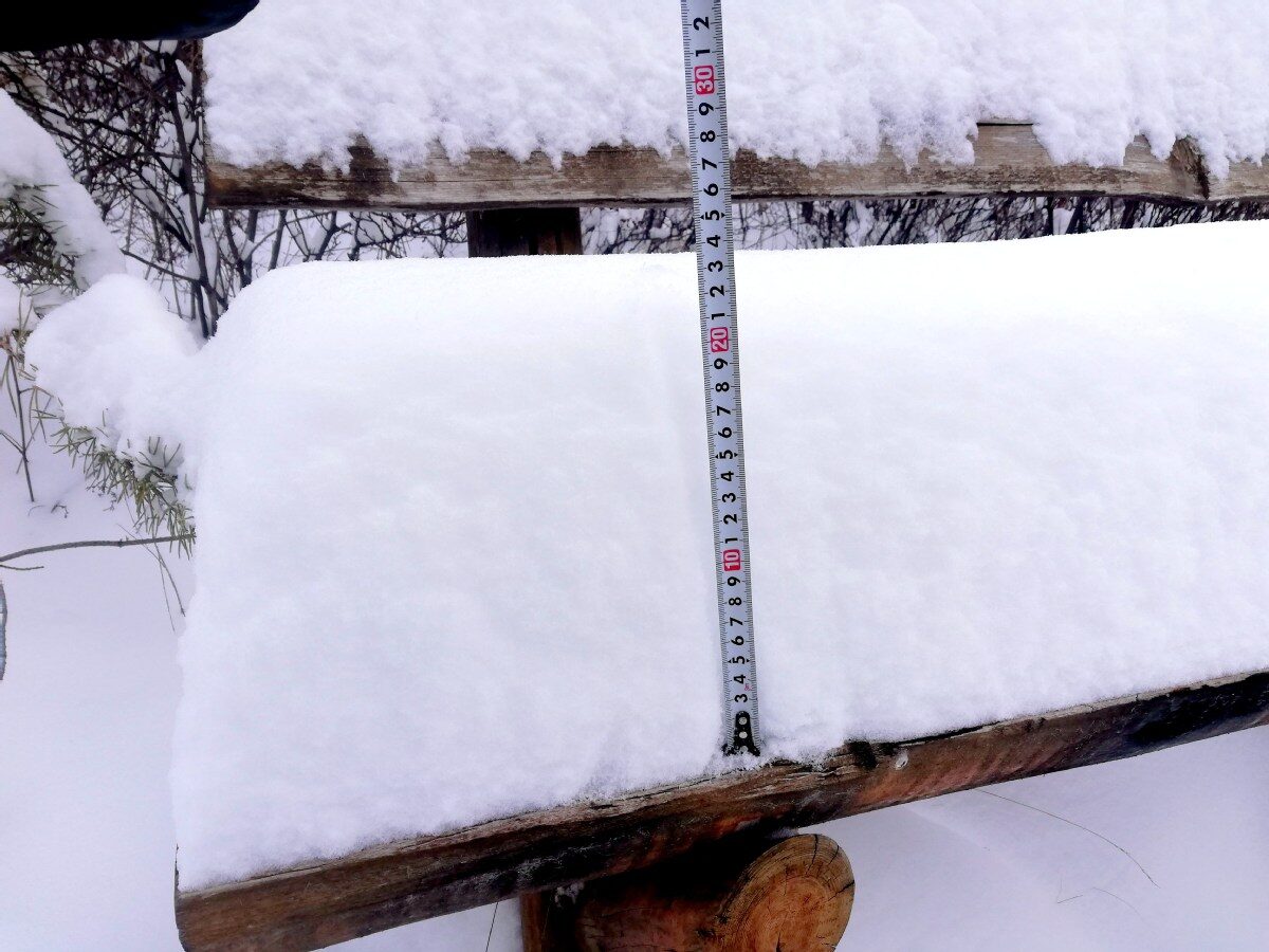 More than 20 centimeters of snow accumulated from Saturday morning to Sunday evening in Huzhong district of the Daxinganling region of Heilongjiang province.