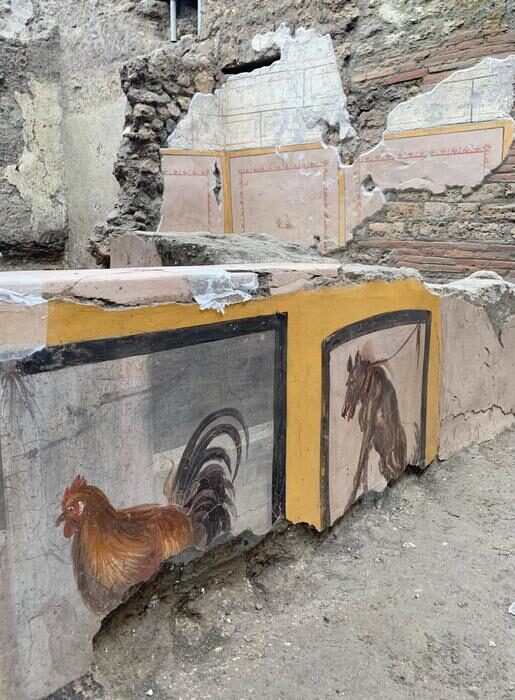 pompeii shop