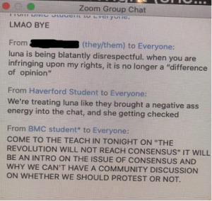Bryn Mawr College Zoom group chat