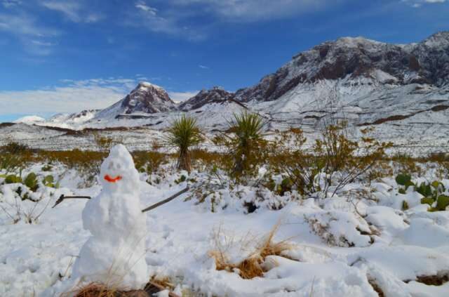 Big Bend National Park received 12 to 18 inches of snow on New Year's Eve.