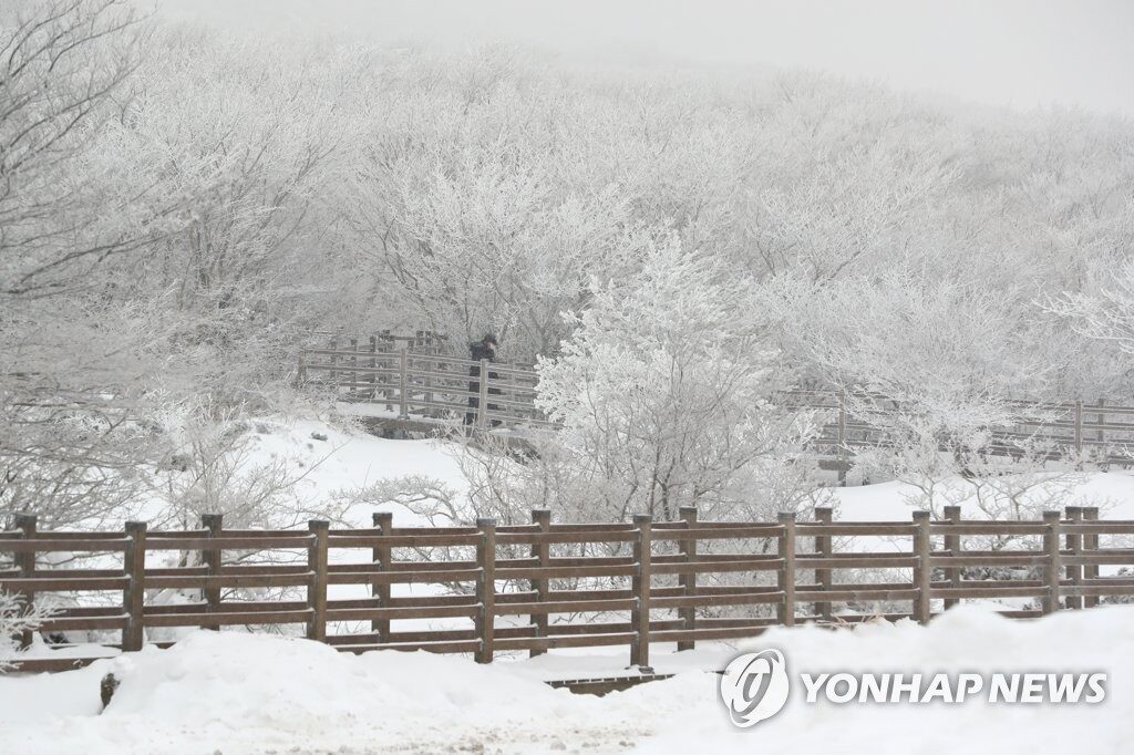 Mount Halla on the southern resort island of Jeju is covered with snow on Jan. 6, 2021.