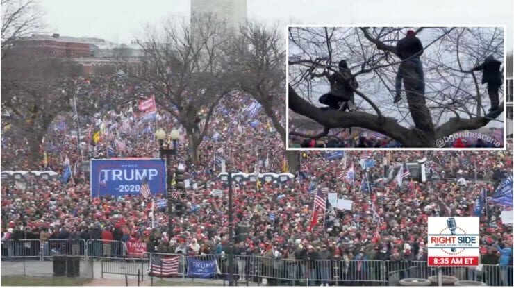 crowds stop steal rally trump