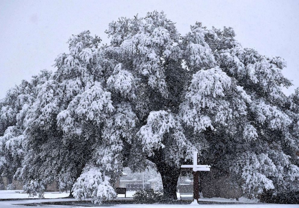 now weighs down on an oak tree outside Brook Hollow Christian Church in Abilene, Texas Jan. 10, 2021.