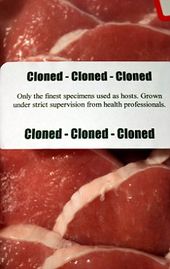 cloned meat