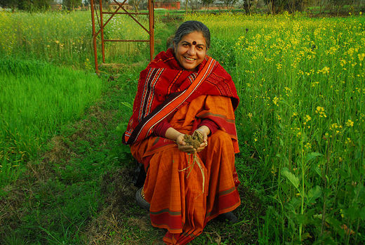 Click to enlarge Image