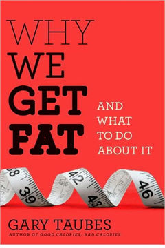 Why we get fat cover