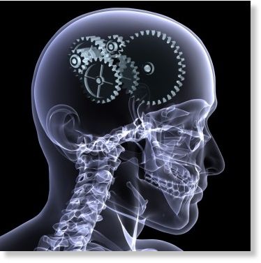 Click to enlarge brain