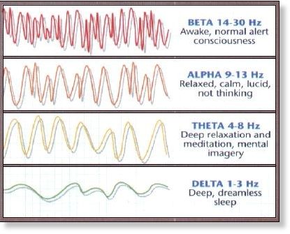 Click to enlarge brain waves