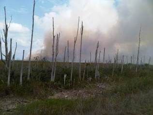 Miami-Dade brush fire